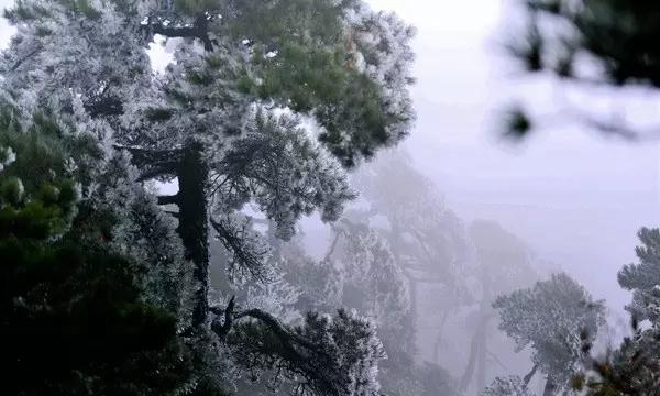 端午节是哪一天的